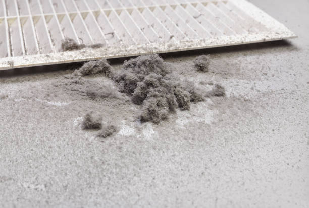 Best Affordable Air Duct Cleaning  in Kean University, NJ